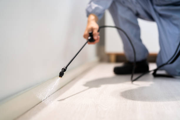 Bed Bug Pre-Treatment Preparation Assessment in Mauldin