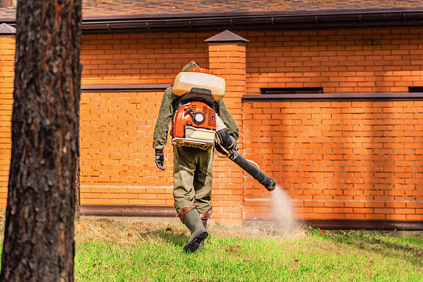 Bed Bug Clearance Verification and Documentation in Mauldin